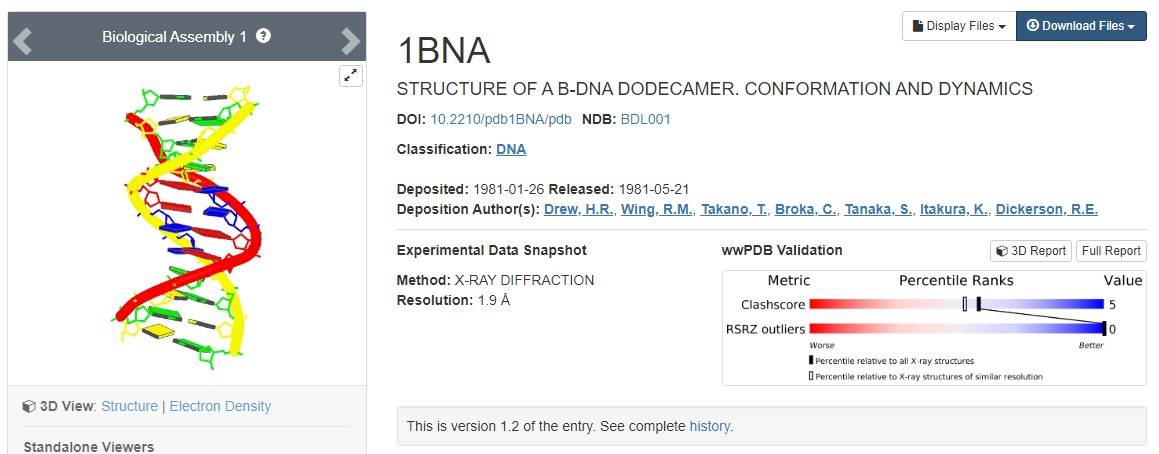 python-plotly-html-dna-4